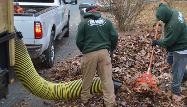 Leaf removal services